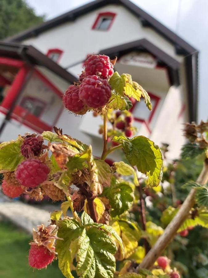 Villa Jelena Mavrovo Zewnętrze zdjęcie