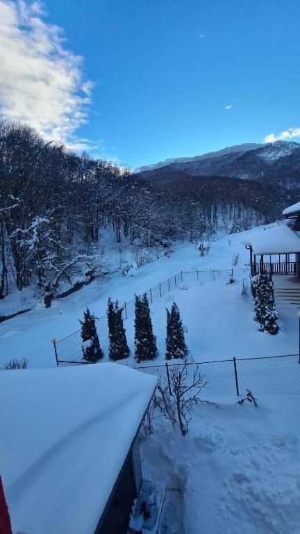 Villa Jelena Mavrovo Zewnętrze zdjęcie